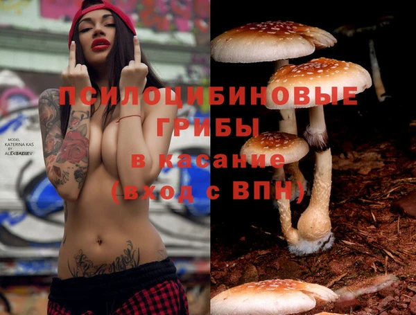 каннабис Алзамай